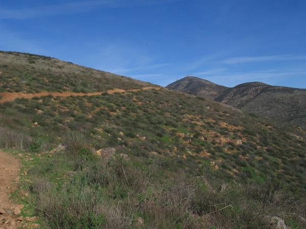 San Miguel Mountain rises to the northeast.