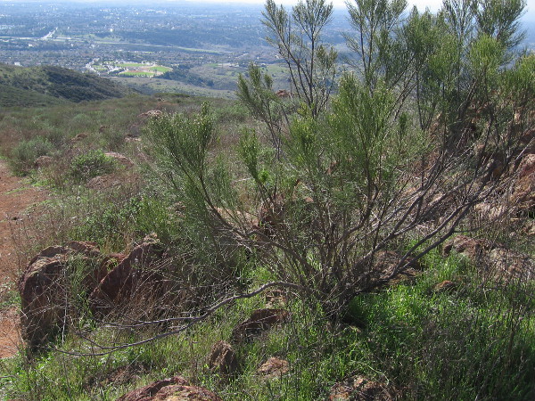 Mount San Miguel Park is now far below.