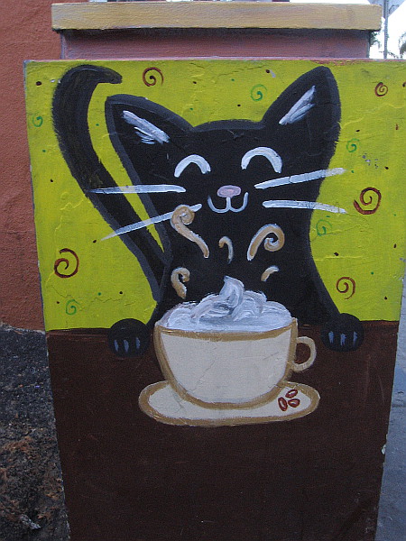 This black cat likes drinking lattes.