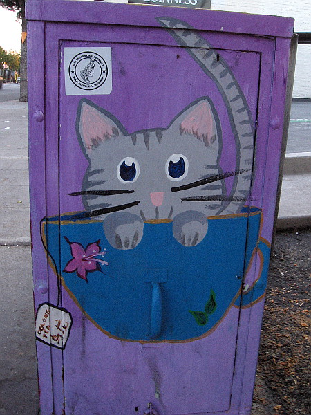 This kitten likes oolong tea.