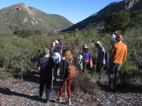 A guided group walks through Mission Trails Regional Park looking for signs of wildlife.