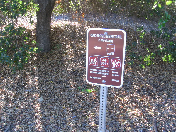 Our short but super fascinating wildlife tracking walk took us up the Oak Grove Inner Trail.