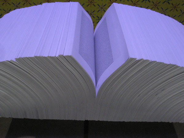 Chromosome 22, 2020, by Cy Kuckenbaker. The artwork includes a book-like printout of some 10,000 pages of a data sequence in the smallest of 23 human chromosomes.