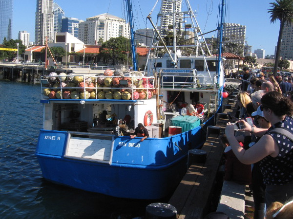 People on the pier near the fishing boat Kaylee H are staring down at the water with cameras.