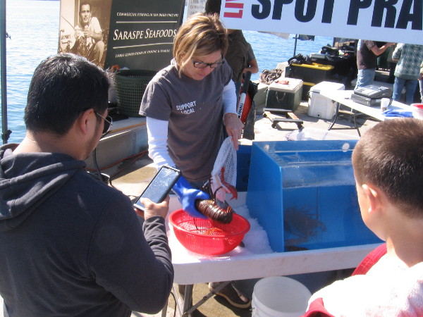 All sorts of locally caught seafood can be purchased on Saturday at Tuna Harbor Dockside Market.
