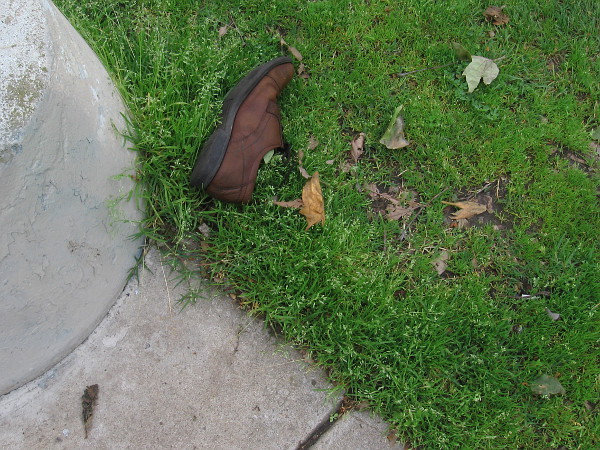 A mysterious shoe. A moment in somebody's life.