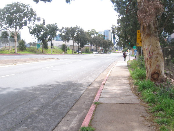 Almost no traffic on Park Boulevard. Very eerie.