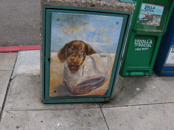 A cute dog peers from trashcan street art in La Jolla.