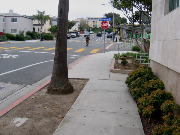 Looking back at where I was a moment ago.