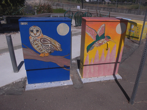 Nearby utility boxes with an elaborately painted owl and hummingbird.