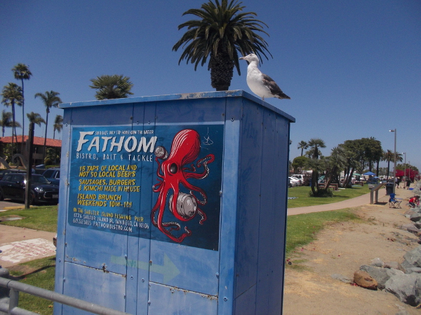 This gull has landed atop a box at the foot of the pier. It would probably like some leftovers from Fathom Bistro, Bait and Tackle.