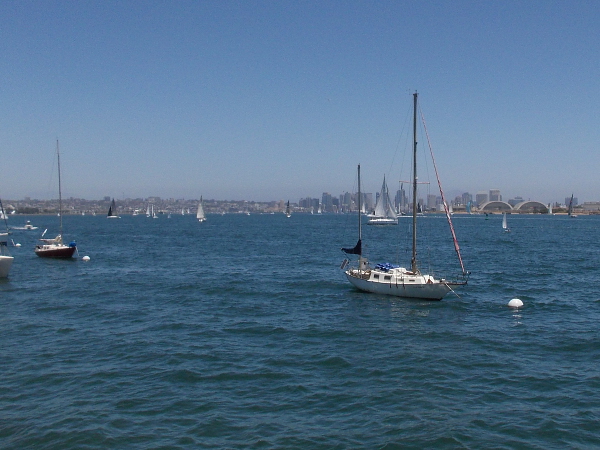 Lots of sails in the distance. Beyond them rises downtown San Diego's skyline.