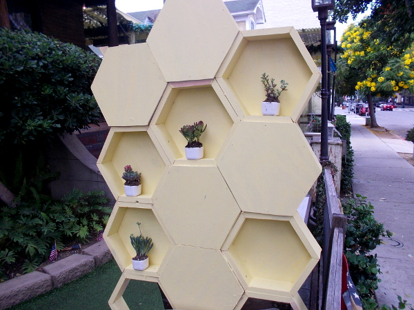 Tiny potted plants inside hive-like hexagons in front of Queenstown Public House.