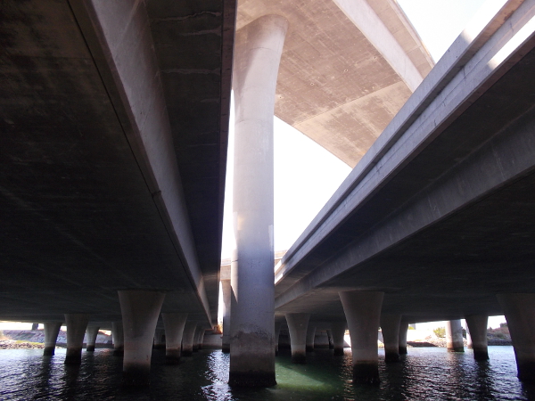 I took a bunch of cool photos under the freeway and shared them on my previous blog post!