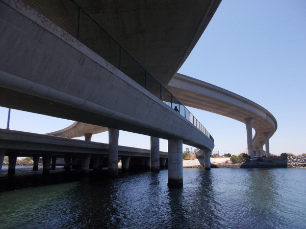 The head of a bicyclist is visible coming down the Gordy Shields Bayshore Bikeway Bridge.