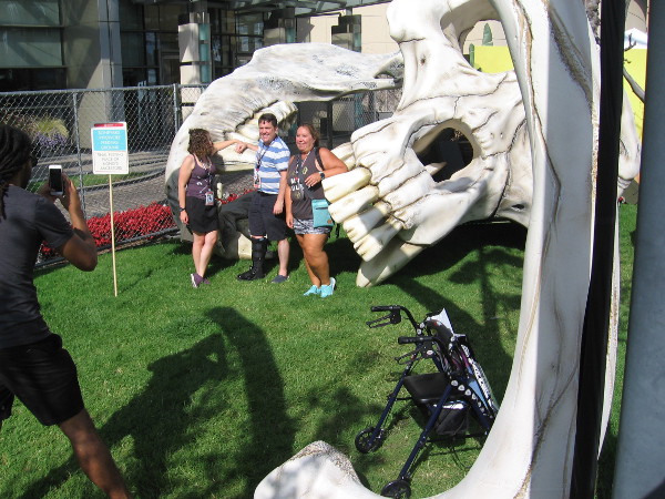 img_0408z-get-your-photo-taken-in-some-gigantic-bony-jaws