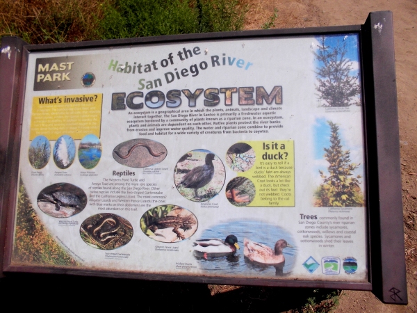 Sign at Mast Park describes habitat of the San Diego River Ecosystem. Snakes, lizards, turtles and ducks live here.