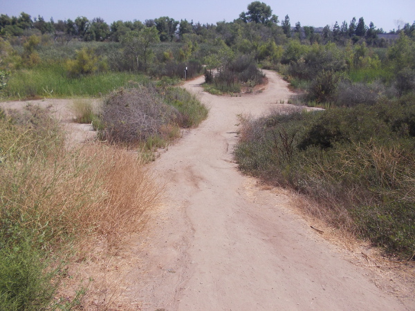 Beginning south down a dirt path toward the river.