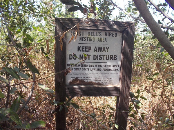 A sign tells people to keep away from the endangered Least Bell's Vireo nesting area.
