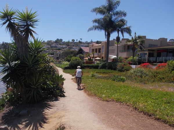 Someone rides along the path one beautiful summer day.