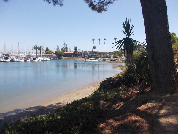 Some shade near the end of the path.