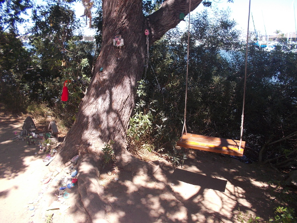 A swing in a tree.