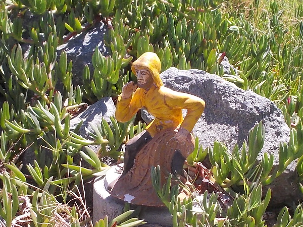 A fisherman in a yellow slicker sits on a rock in the ice plant.