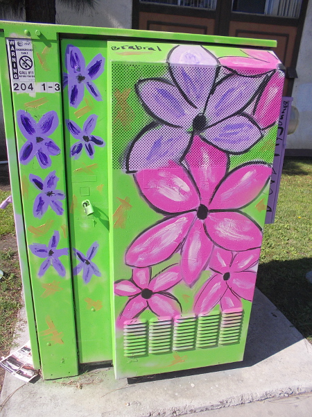 Purple and lavender flowers.