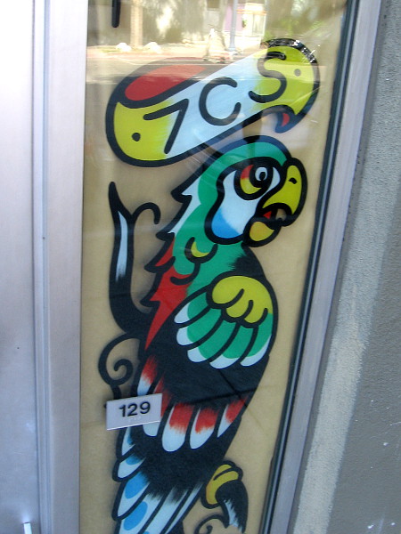 Colorful parrot in window of Seven Seas Tattoo.