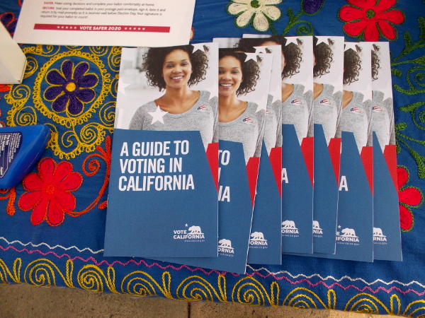 A Guide to Voting in California pamphlets on a nearby table.