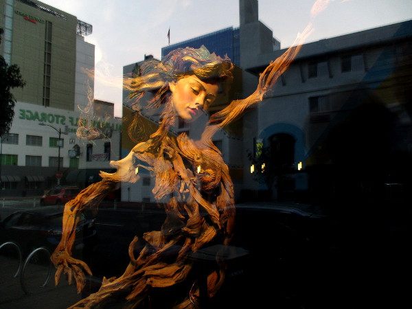 Early morning golden light touches a face inside a window of the Sparks Gallery.