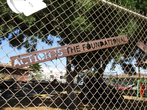 Action is the foundational...