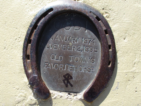 CODI. January 1974 - November 2, 1995. Old Town's Favorite Horse.