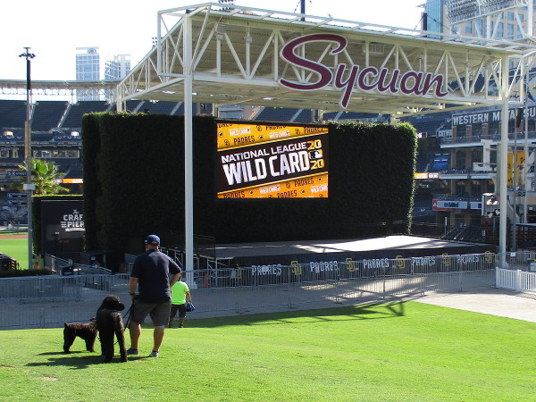 National League Wild Card graphic splashed on the video screen that faces Gallagher Square.