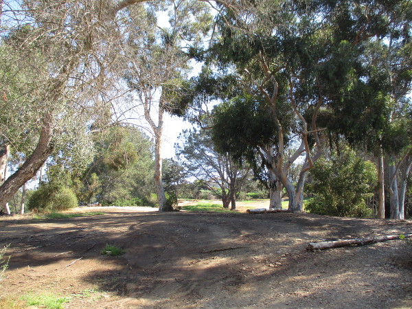 Heading up under shady trees.