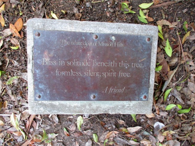 The white deer of Mission Hills. Bliss in solitude beneath this tree, formless, silent, spirit free. A friend