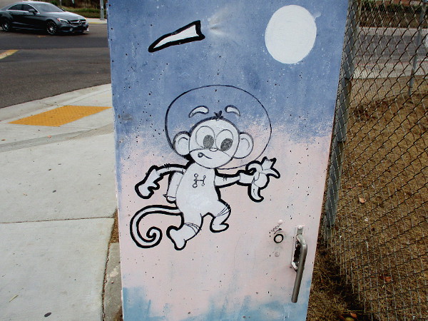 Space monkey eats a banana!