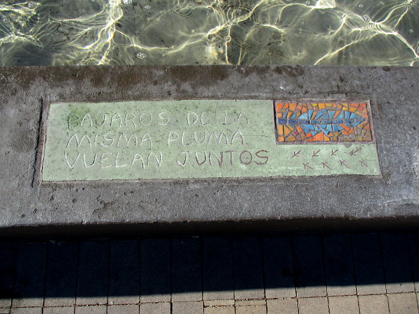 Pajaros de la misma pluma vuelan juntos.