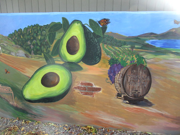 Avocados and Ferrara Winery.