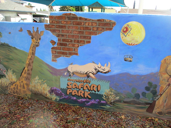 San Diego Zoo Safari Park.