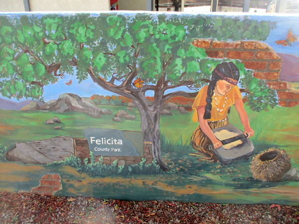 Felicita County Park.