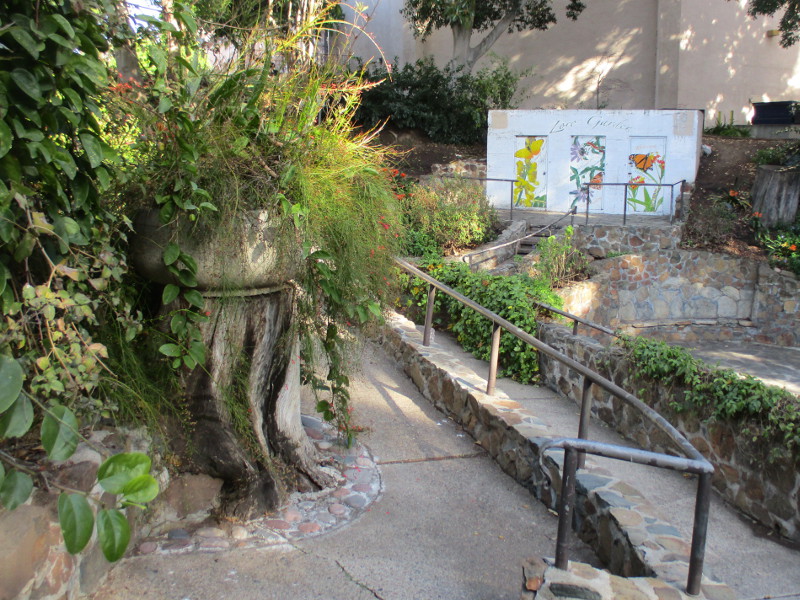 Early spring in the Zoro Garden. – Cool San Diego Sights!
