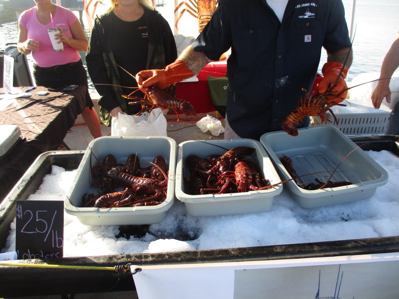 Lobsterfest attracts hungry crowd in San Diego! Cool San Diego Sights!