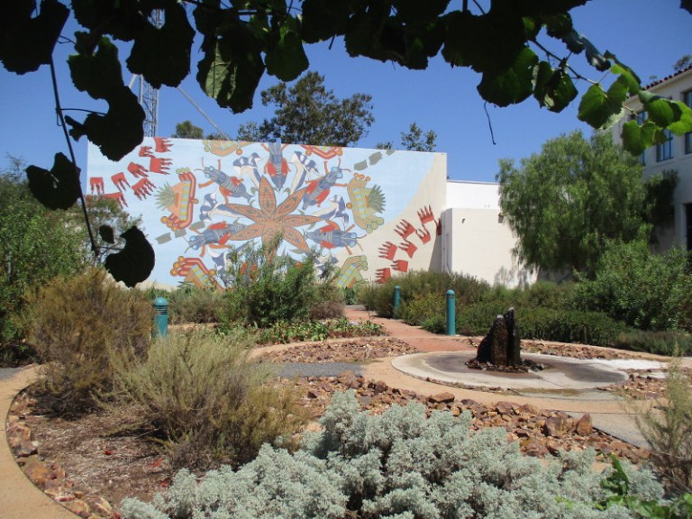 Native and Indigenous Healing Garden and mural at SDSU. – Cool San ...