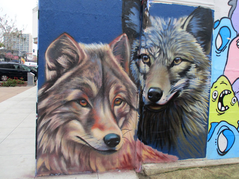 Jaguars and wolves in Chula Vista! – Cool San Diego Sights!