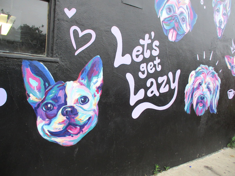 Pet mural at Lazy Eye Coffee in North Park! – Cool San Diego Sights!