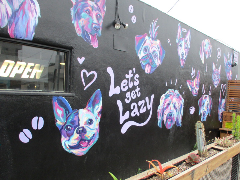 Pet mural at Lazy Eye Coffee in North Park! – Cool San Diego Sights!