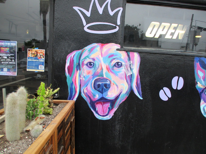 Pet mural at Lazy Eye Coffee in North Park! – Cool San Diego Sights!
