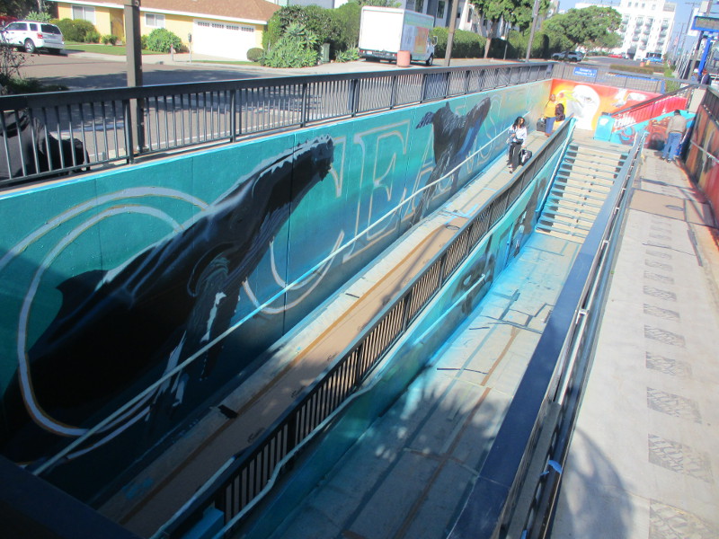 Painting wildlife at Oceanside Transit Center! – Cool San Diego
