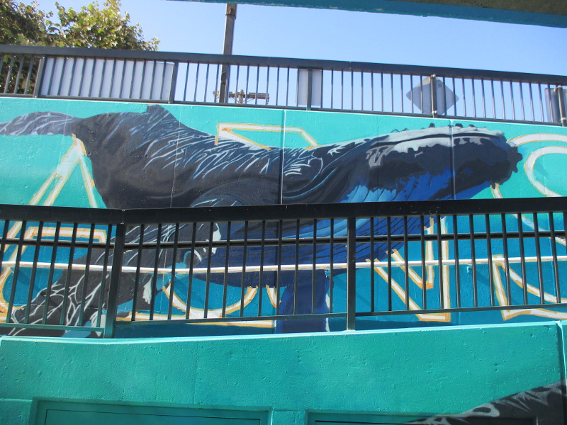 Painting wildlife at Oceanside Transit Center! – Cool San Diego